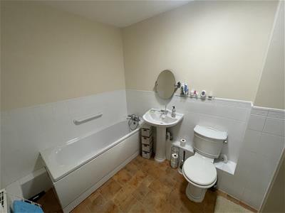 Picture 14